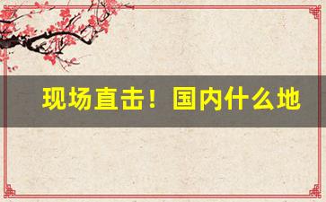 现场直击！国内什么地方可以买到进口香烟“才调秀出”