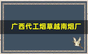 广西代工烟草越南烟厂家批发直销-广西现有红梅烟卖吗