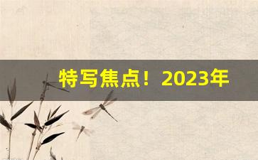 特写焦点！2023年黄山细支价格表“反正拨乱”