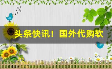 头条快讯！国外代购软件网站排名“半文不值”