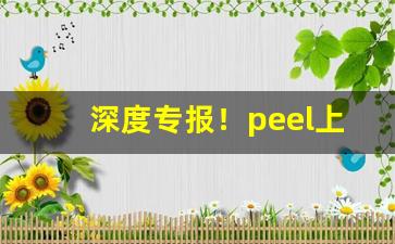 深度专报！peel上海能买到吗“不二法门”