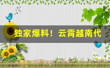 独家爆料！云霄越南代工香烟一手批发“摧刚为柔”