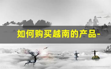 如何购买越南的产品-在哪里网站可以买越南商品