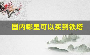 国内哪里可以买到铁塔猫-哪里可以买到正宗的铁塔猫