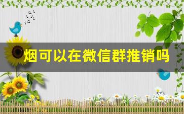 烟可以在微信群推销吗-能在群里买烟吗