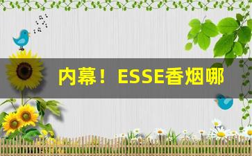 内幕！ESSE香烟哪里买“白云孤飞”