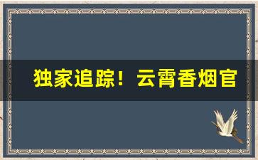独家追踪！云霄香烟官网APP下载地址“爱才如渴”
