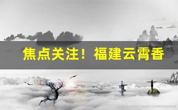 焦点关注！福建云霄香烟批发货源网“促膝长谈”