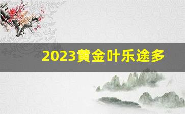 2023黄金叶乐途多少钱一包-黄金叶乐途软粗支多少钱一包