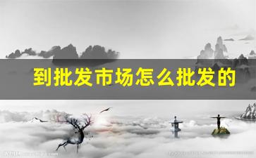 到批发市场怎么批发的-批发市场的东西从哪里进的