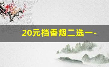 20元档香烟二选一-40元以下香烟性价比推荐