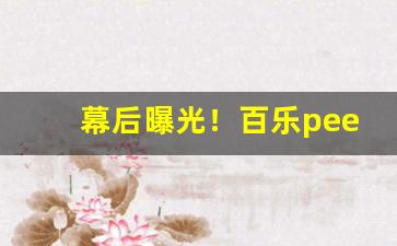 幕后曝光！百乐peel网上购买渠道“层次井然”