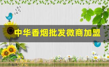 中华香烟批发微商加盟-免税烟批发加盟