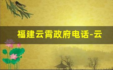 福建云霄政府电话-云霄县行政服务中心电话