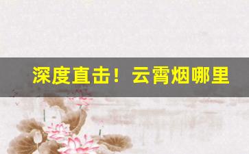 深度直击！云霄烟哪里产的“高风亮节”