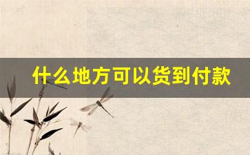 什么地方可以货到付款-哪里支持货到付款