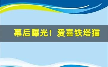 幕后曝光！爱喜铁塔猫官方微信号“放刁撒泼”