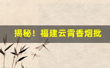 揭秘！福建云霄香烟批发网货到付款“半壁江山”