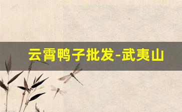 云霄鸭子批发-武夷山鸭子批发零售