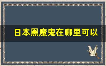 日本黑魔鬼在哪里可以买-哪个地区可以买到黑魔鬼
