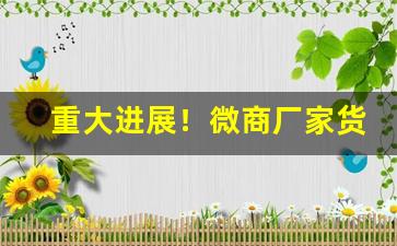 重大进展！微商厂家货源网“点指画字”