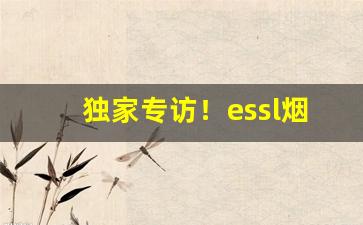 独家专访！essl烟哪里买“旦旦信誓”