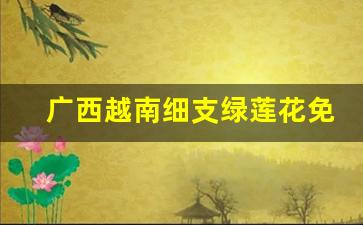广西越南细支绿莲花免费代理-越南莲雾树苗