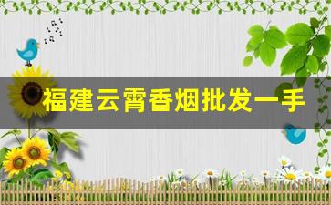 福建云霄香烟批发一手货源厂家直销-云霄烟厂家货