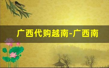 广西代购越南-广西南宁买越南货的地方