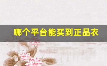 哪个平台能买到正品衣服-在哪个平台能买到真品衣服
