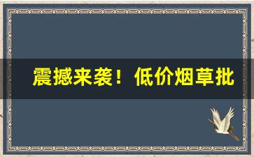 震撼来袭！低价烟草批发厂家一手香烟货源“代人受过”