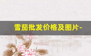 雪茄批发价格及图片-雪茄行情价格表