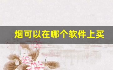 烟可以在哪个软件上买-烟真假辨别扫一扫