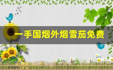 一手国烟外烟雪茄免费代理-上海烟草店有哪些国产雪茄细支