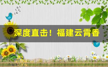 深度直击！福建云霄香烟品质高水平“瓮中捉鳖”