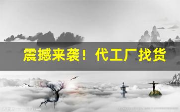 震撼来袭！代工厂找货源怎么找“得江山助”