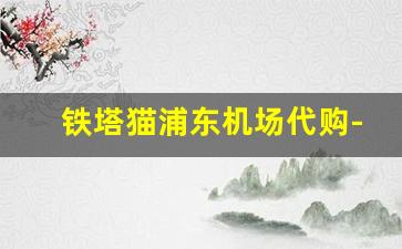 铁塔猫浦东机场代购-上海青浦哪里可以买到铁塔猫