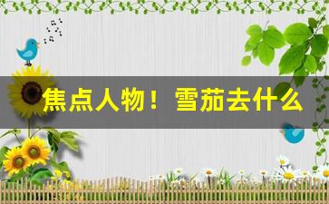 焦点人物！雪茄去什么网站买“畅通无阻”