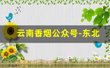 云南香烟公众号-东北能买到的云南香烟