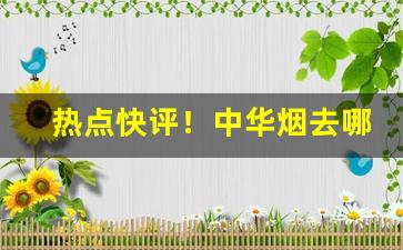 热点快评！中华烟去哪里买便宜“冲云破雾”