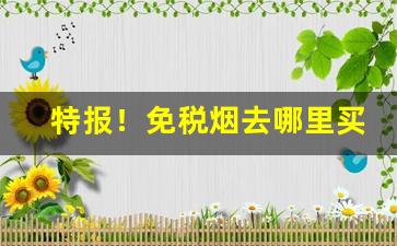 特报！免税烟去哪里买是真的“不名一钱”