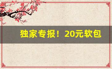 独家专报！20元软包阿诗玛好抽吗“笔伐口诛”