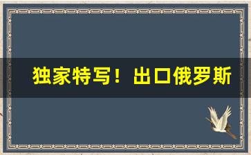 独家特写！出口俄罗斯外贸厂家“超逸绝伦”