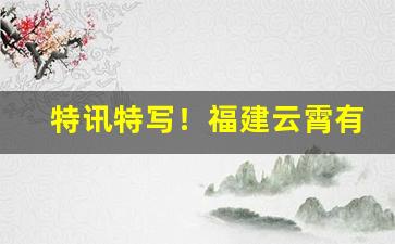 特讯特写！福建云霄有多少家烟厂“旦旦信誓”