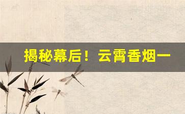 揭秘幕后！云霄香烟一手货源货到付款价格“高低不就”