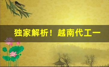 独家解析！越南代工一手货源代理批发“蟾宫折桂”