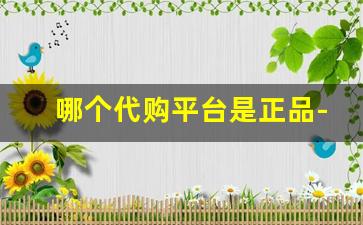 哪个代购平台是正品-有专门的代购平台吗