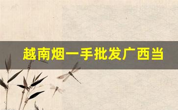 越南烟一手批发广西当地-广西东兴哪里有卖越南烟