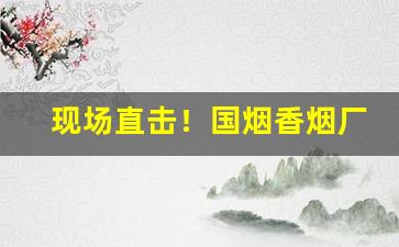 现场直击！国烟香烟厂家直销批发“东三西四”