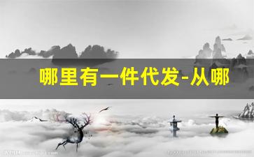 哪里有一件代发-从哪里找一件代发的厂家